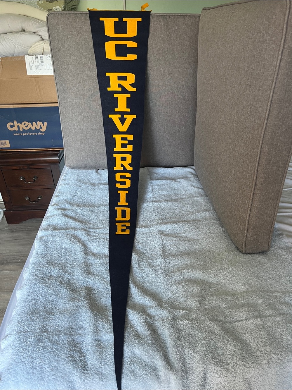 University of California-Riverside, Navy & Gold Felt Pennant